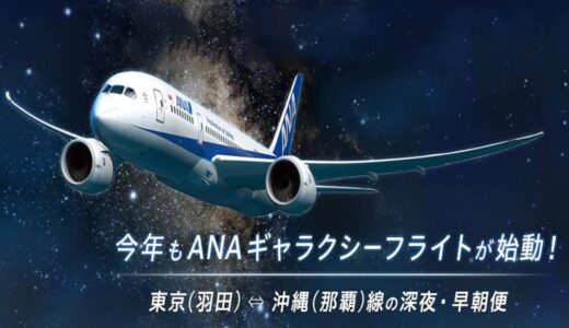 ANA深夜便の「ギャラクシーフライト」が2019年も運航