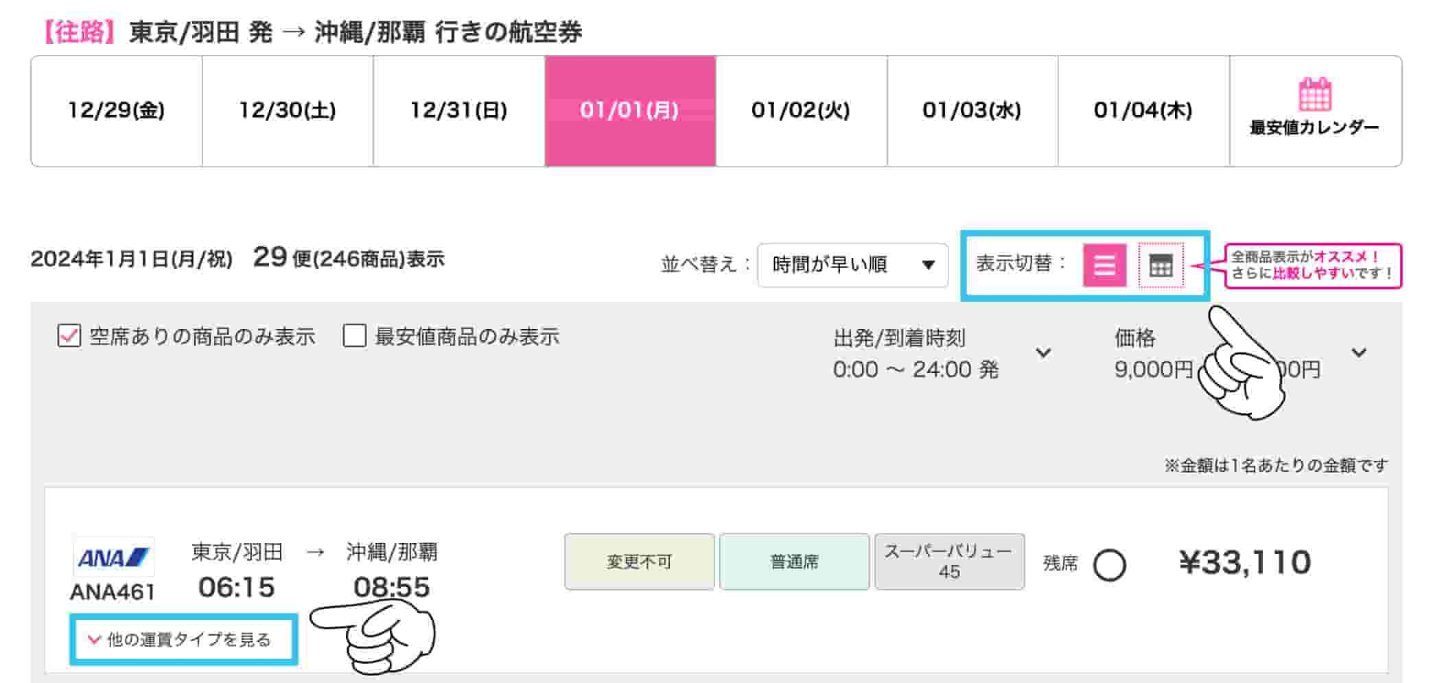 出発日に運航する航空会社の一覧